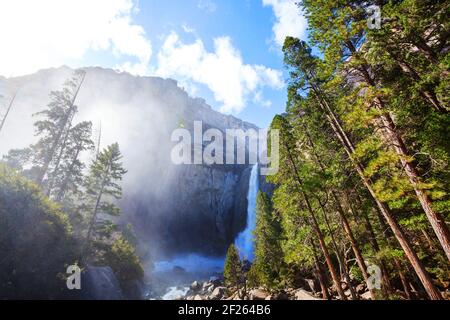 Cascade dans le parc Yosemite Banque D'Images