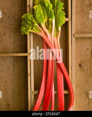 Rhubarbe, avec tiges et feuilles, sur fond de boîte en bois Banque D'Images