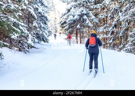 patineurs sur le sentier dans la forêt enneigée d'hiver Banque D'Images