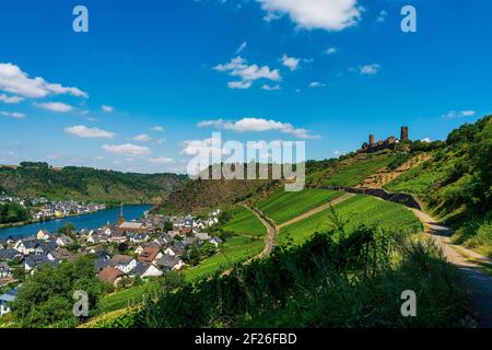Vue panoramique sur les vignobles de la Moselle, Allemagne. Château de Tdurant près d'Alken sur la Moselle . Banque D'Images