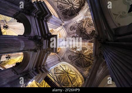 MALAGA, ANDALOUSIE/ESPAGNE - JUILLET 5 : vue intérieure de la cathédrale de l'Incarnation à Malaga Costa del sol Espagne le 5 juillet 20 Banque D'Images