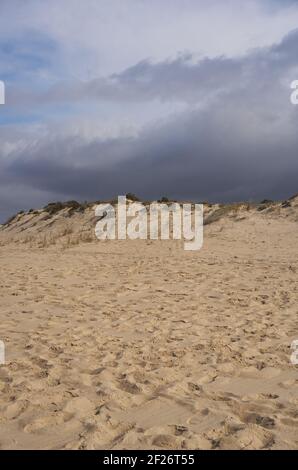 Dunes de sable avec personne et une tempête derrière à Comporta, Portugal Banque D'Images