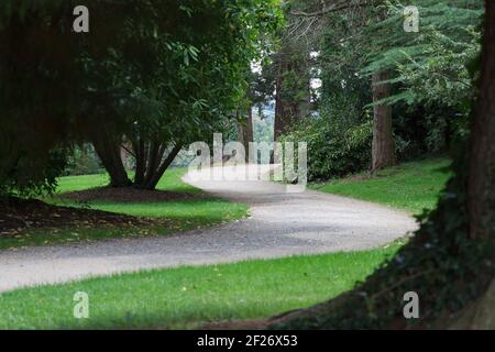 Chemin de gravier tortueux à travers le parc, vert vif, passerelle sinueuse entre les arbres sur le domaine, couleurs luxuriantes, herbe verte, arbres, feuilles Banque D'Images