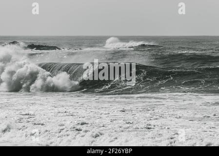 Une photo en niveaux de gris de grandes vagues qui se brisent sur la mer - parfait pour l'arrière-plan Banque D'Images