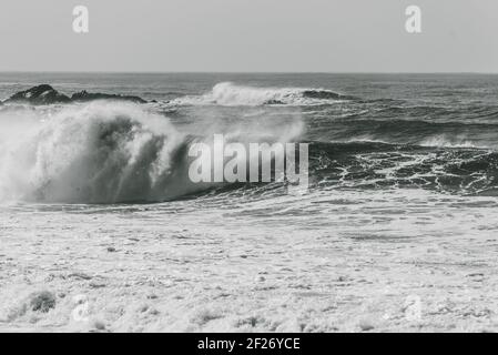 Une photo en niveaux de gris de grandes vagues qui se brisent sur la mer - parfait pour l'arrière-plan Banque D'Images