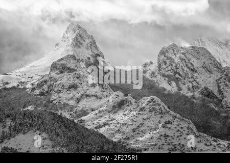 rochers enneigés au-dessus de la forêt de haute montagne Banque D'Images