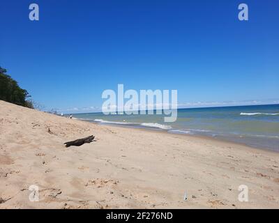 Indiana Dunes National Park à Summertime Banque D'Images