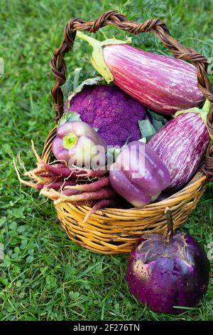 Fruits et légumes violets dans un panier brun au soleil Banque D'Images