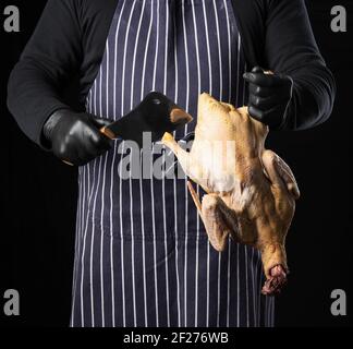 Homme chef dans un tablier bleu rayé et des vêtements noirs se tient sur un fond noir et tient un canard Banque D'Images