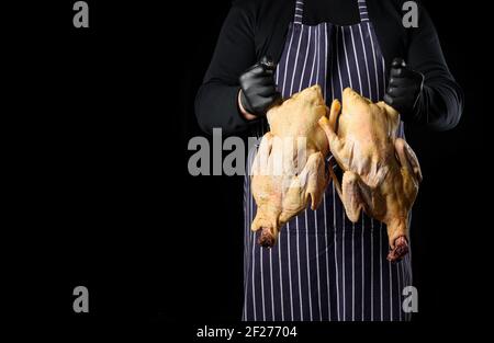 Homme chef dans un tablier bleu rayé et des vêtements noirs se tient sur un fond noir et tient un canard Banque D'Images