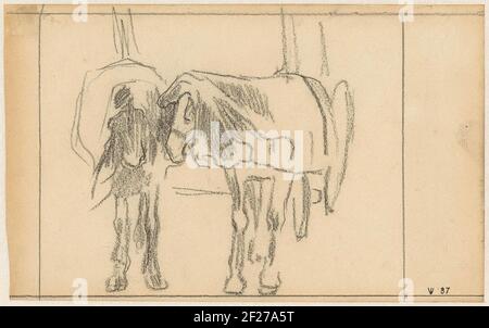 Deux chevaux de trait reposant pour une voiture .. Banque D'Images