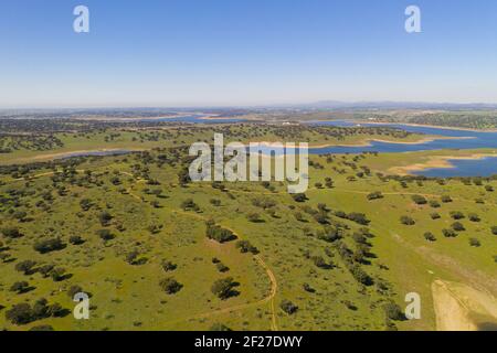 Barrage lac réservoir drone vue aérienne de Barragem do Caia Dam oliviers paysage à Alentejo, Portugal Banque D'Images