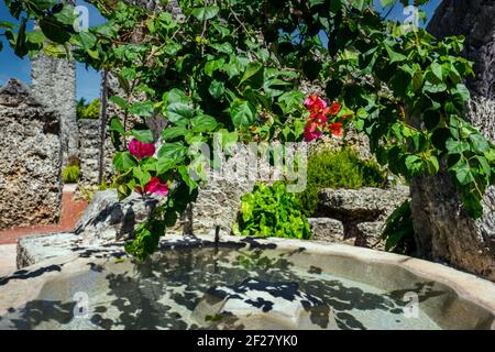 Un Bougainvillea violet pousse au-dessus de la fontaine de lune dans le mystérieux Coral Castle situé au sud de Miami, en Floride. Banque D'Images