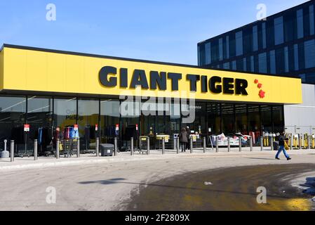 Ottawa, Canada - le 10 mars 2021 : magasin New Giant Tiger sur le chemin Walkley, à côté du siège social de l'entreprise. La chaîne de magasins à rabais canadienne fonctionne o Banque D'Images