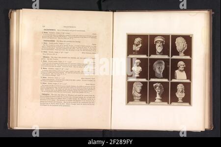 Neuf moulages de bustes antiques, dont Isis, Apollon, Ariadne et Juno Ludovisi .. Banque D'Images