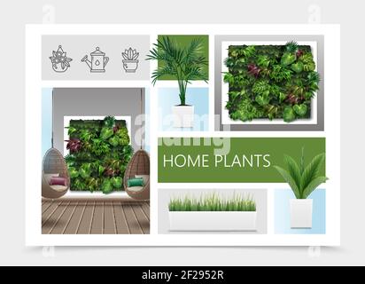Composition réaliste des plantes d'origine avec des feuilles exotiques et de l'herbe dedans pots de fleurs intérieur de salle de séjour avec chaises suspendues en osier et verticale jardin vecto Illustration de Vecteur
