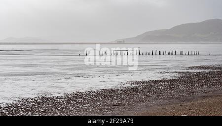 Vieux poteaux de stakenet sur l'estuaire de Sloway, réserve RSPB de Mersehead, Dumfries, SW Scolamd Banque D'Images