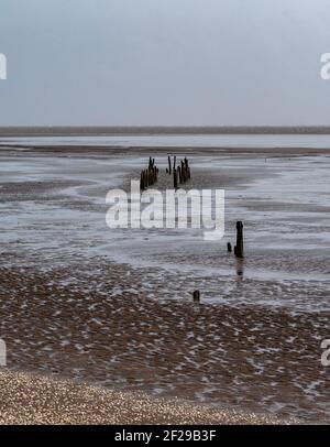 Vieux poteaux de stakenet sur l'estuaire de Sloway, réserve RSPB de Mersehead, Dumfries, SW Scolamd Banque D'Images