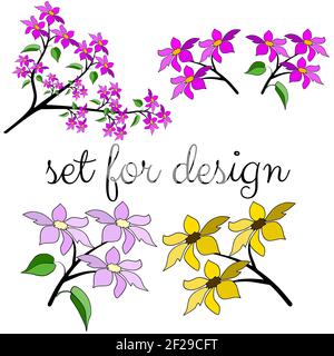 Ensemble de branches sakura sur fond blanc. Pour votre design pour créer un design romantique ou vintage . Illustration vectorielle, EPS 10 Illustration de Vecteur