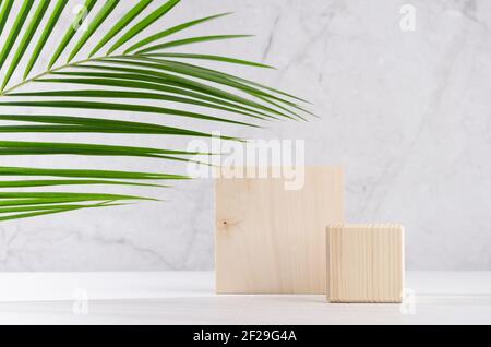 Elégant podiums carrés en bois beige avec feuilles de palmier vertes au soleil sur panneau blanc et mur en marbre gris pour l'affichage des produits. Simple, moderne et minimaliste Banque D'Images