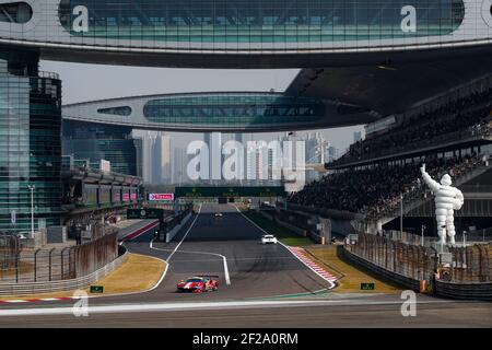 71 RIGON Davide (ita), MOLINA Miguel (esp), AF Corse, Ferrari 488 GTE Evo, action pendant le Championnat du monde d'Endurance FIA WEC 2019, 4 heures de Shanghai du 8 au 10 novembre, à Shanghai, Chine - photo Florent Gooden / DPPI Banque D'Images