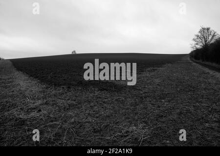 Brightwell Barrow, Oxfordshire, Angleterre, Royaume-Uni Banque D'Images