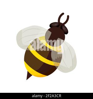 Abeille de style dessin animé isolée sur fond blanc. Insecte détaillé, bouret, insecte avec rayures. Jolie clipart, élément de décoration ou de design. Vecteur Illustration de Vecteur