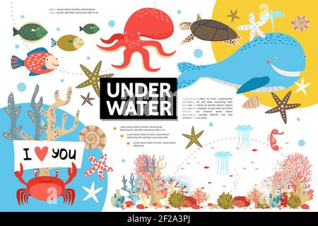 Modèle graphique de la vie sous-marine plate avec poisson de tortue d'octopus de baleine coquillages de crabe jellyfish cheval mer algues vecteur illustration Illustration de Vecteur