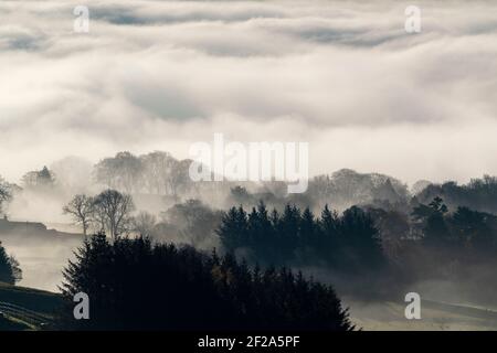 Inversion des nuages à Wensleydale, avec les nuages qui se tiennent au fond de la vallée. Parc national de Yorkshire Dales, Royaume-Uni. Banque D'Images