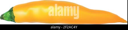 Piment isolé sur fond blanc. Piment jalapeno. Icône de poivre jaune. Piment épicé chaud. Spice, ingrédient traditionnel de la cuisine. EPS vectoriel Illustration de Vecteur