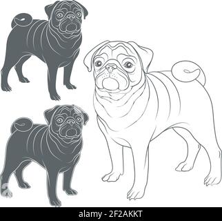 Ensemble d'images vectorielles de PUP. Objets isolés sur fond blanc. Illustration de Vecteur