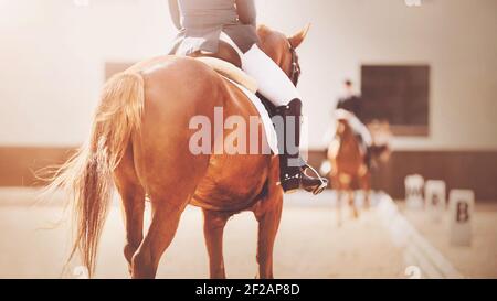 Un cheval rapide de sorrel avec une longue queue et un cavalier dans la selle participe à des compétitions de dressage dans la même arène avec un rival, illuminé par su Banque D'Images