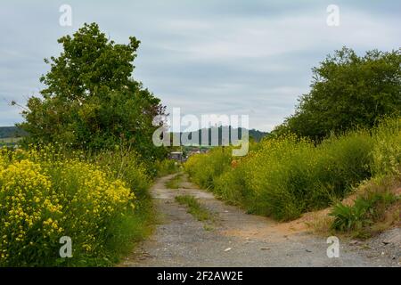 Une petite route entre prairie et buissons avec vue sur Ostheim, Bavière, Allemagne Banque D'Images