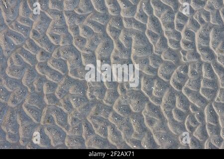 Texture de plage, plage à marée basse, structure de sable, texture de plage, sable, marée basse, structure, sculpture naturelle, sable, forme naturelle, Banque D'Images