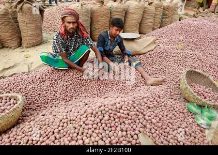 Bogra, Bangladesh - 08 mars 2021 : les vendeurs préparent les pommes de terre à la vente sur le marché de gros de Kahaloo à Bogra, au Bangladesh, le 08 mars 2021. Banque D'Images