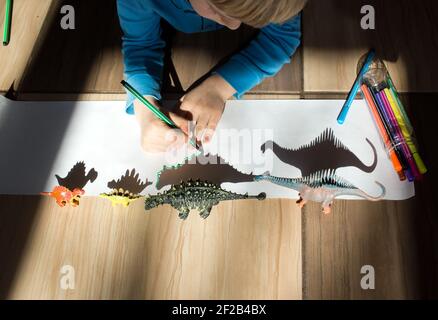 l'enfant se concentre sur le contour de l'ombre des figures des dinosaures jouets, des idées pour la créativité des enfants, le développement du ski automobile fin Banque D'Images