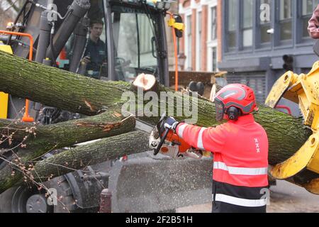 Amsterdam, pays-Bas. 11 mars 2021. Les employés de la municipalité d'Amsterdam retirent un arbre déraciné qui est tombé sur le canal Herengracht le 11 mars 2021 à Amsterdam, aux pays-Bas. L'Institut néerlandais de météorologie KNMI a émis un avertissement météorologique jaune pour le pays avec des vents forts et des rafales jusqu'à des vitesses de vents allant jusqu'à 80 à 100 km par heure. (Photo de Paulo Amorim/Sipa USA) Credit: SIPA USA/Alay Live News Banque D'Images