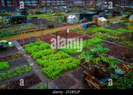 Vue d'ensemble des jardins de la ville Banque D'Images