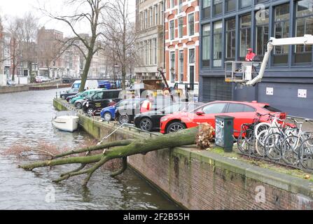 Amsterdam, pays-Bas. 11 mars 2021. Les employés de la municipalité d'Amsterdam retirent un arbre déraciné qui est tombé sur le canal Herengracht le 11 mars 2021 à Amsterdam, aux pays-Bas. L'Institut néerlandais de météorologie KNMI a émis un avertissement météorologique jaune pour le pays avec des vents forts et des rafales jusqu'à des vitesses de vents allant jusqu'à 80 à 100 km par heure. (Photo de Paulo Amorim/Sipa USA) Credit: SIPA USA/Alay Live News Banque D'Images