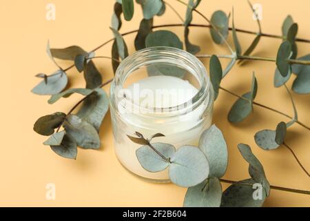 Magnifique eucalyptus et bougie sur fond beige Banque D'Images