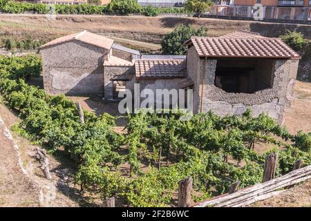 Villa Regina dans Villa Boscoreale, villas romaines anciennes détruites par l'éruption du Vésuve ou Vésuve volcan, Campanie, Italie Banque D'Images