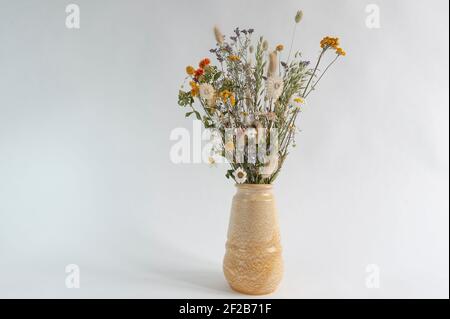 Fleurs colorées séchées dans un vase sur fond blanc. Banque D'Images