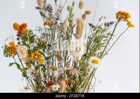 Fleurs colorées séchées dans un vase sur fond blanc. Banque D'Images