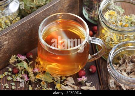 Tisanes et bocaux aux herbes homéopathiques sèches : camomille, tilleul, calendula, terrier, rosehIPS et fleurs, gros plan, espace de copie, naturopathie et natu Banque D'Images