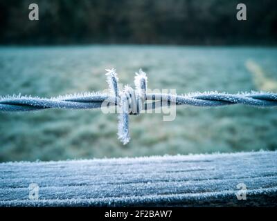 Givre sur UN fil barbelé Fence le matin Banque D'Images