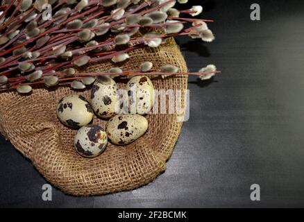 Vue de dessus oeufs de caille de Pâques dans les branches d'ensachage et de saule sur fond sombre Banque D'Images