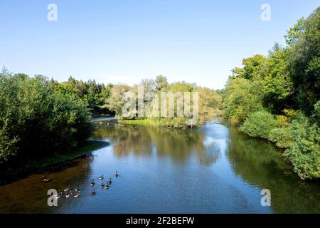 Moehnesee, Allemagne. 17 septembre 2020. La zone d'entrée du lac ‚Moehnesee» près d'Arnsberg (Allemagne), le 17 septembre 2020. Credit: dpa/Alay Live News Banque D'Images