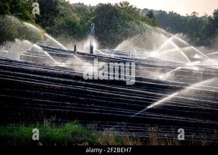 Moehnesee, Allemagne. 17 septembre 2020. Grumes de bois dans un stockage humide au lac ‚Moehnesee» près d'Arnsberg (Allemagne), le 17 septembre 2020. Credit: dpa/Alay Live News Banque D'Images