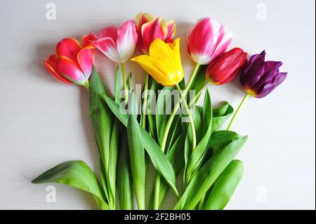 Bouquet de tulipes roses, jaunes et violettes sur table blanche Banque D'Images