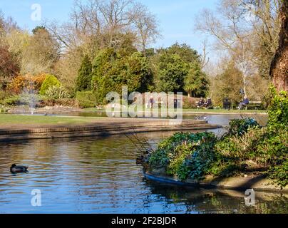 Bassin de canards du parc Pinner Memorial avec arbres et feuillage en arrière-plan et gens sur des bancs. Banque D'Images